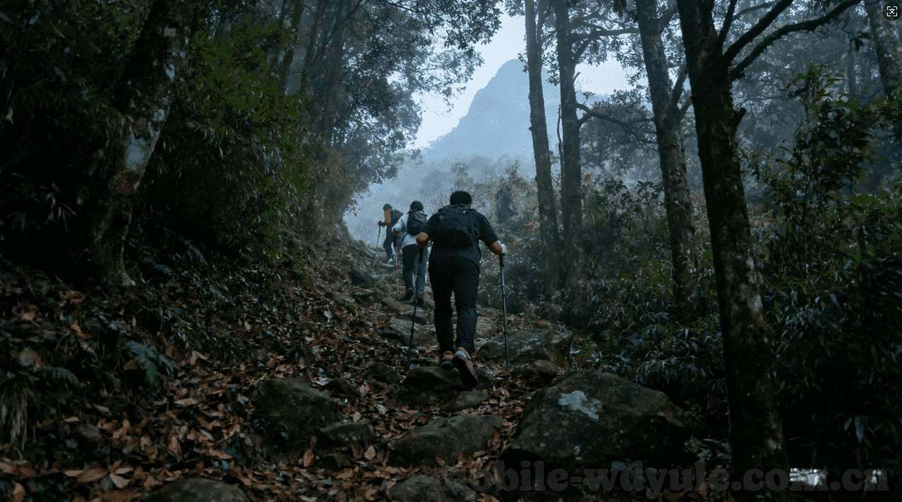 世界杯买球怎么算中奖-世界杯买球中奖计算方式