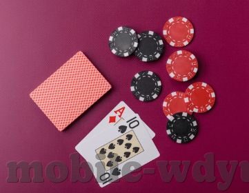 世界杯 指定 投注品牌-世界杯指定投注品牌的魅力与挑战